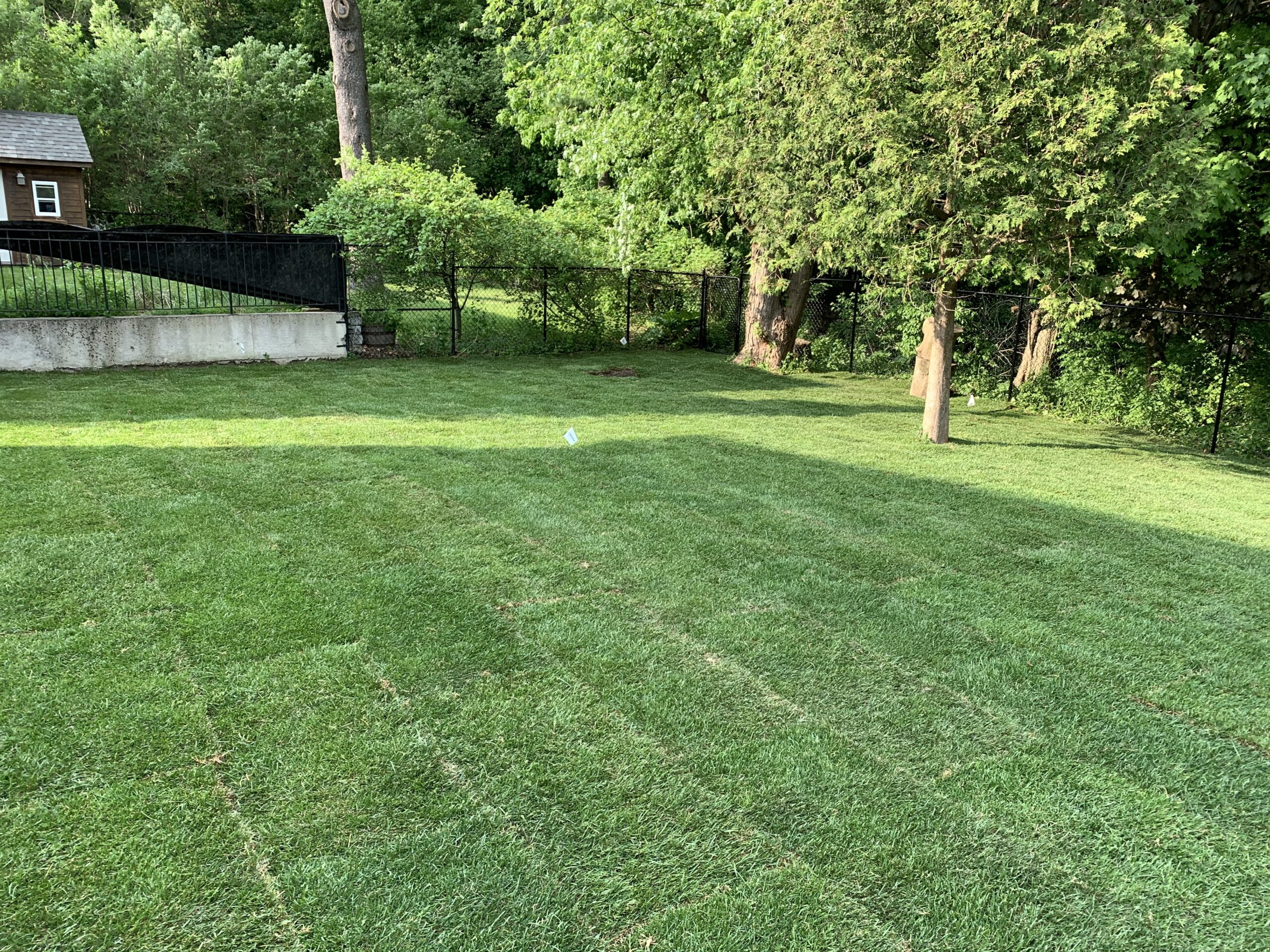 New Lawn by Landscape Contractor